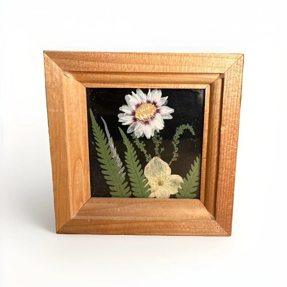 Vintage Dried Pressed Flowers Art Black Ornate Wall Hanging Frame Set Of 3 Japan